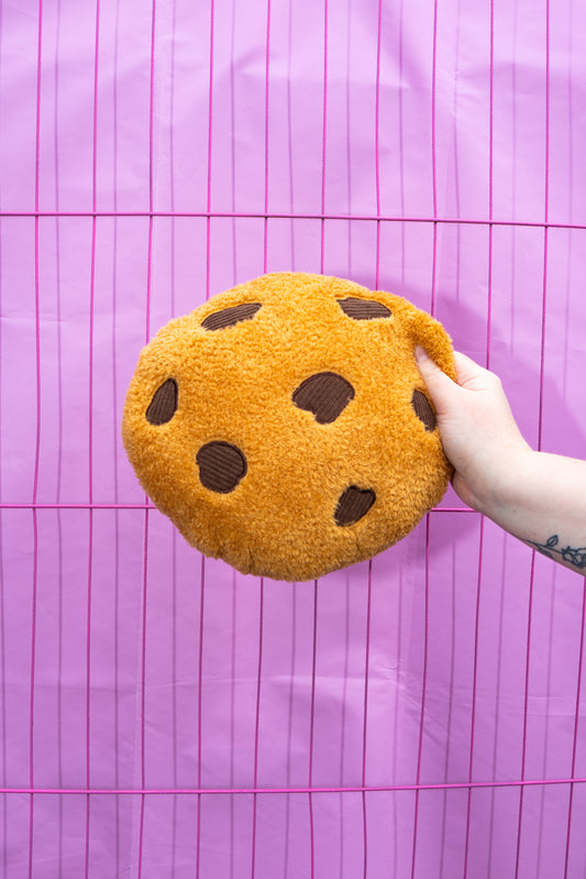 Cookie Cushion